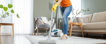Discover The Best Local Cleaning Services Near You